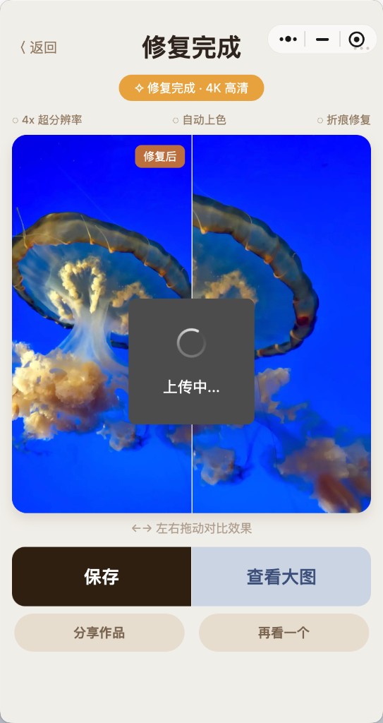 旧照焕新修复完成截图